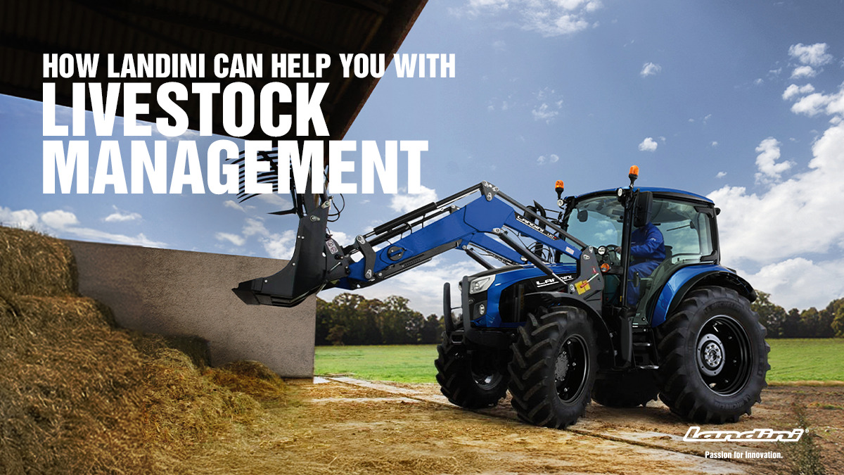 How Landini can help you with livestock management